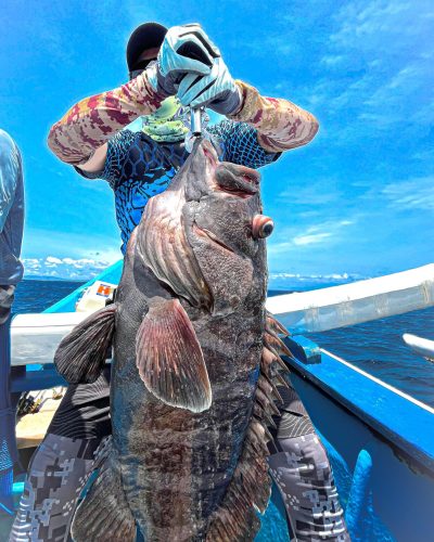 WhatsApp Image 2024-12-27 at 11.49.57 AM