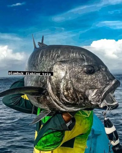 WhatsApp Image 2025-01-06 at 10.32.26 PM (2)