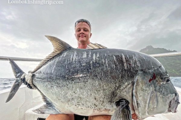 Whatsapp image 2025 12 28 at 14.32.30