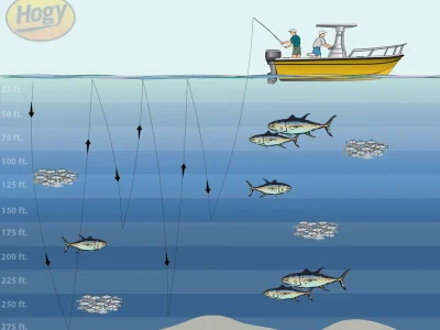 Fast jigging