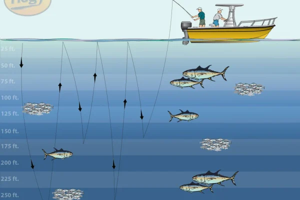 Fast jigging