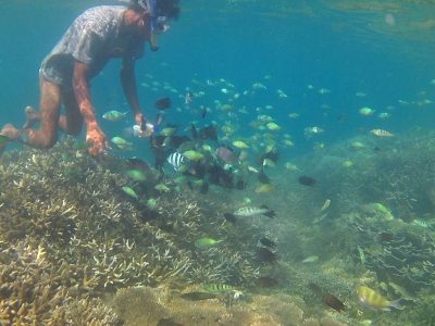 gili gede