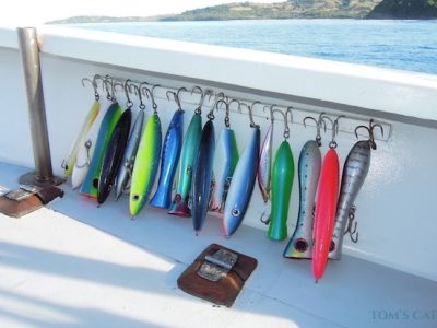 Popping lure